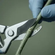 DUERP Fleuriste — Risques professionnels