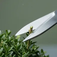 DUERP Paysagisme / Espaces verts — Risques professionnels